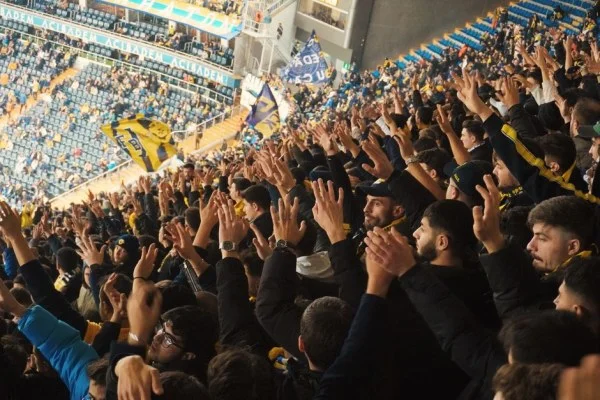 football fans cheering stadium